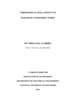 Topological hall effect in magnetic nanostructures 