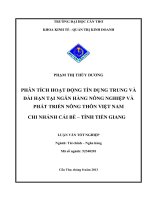 phân tích hoạt động tín dụng trung và dài hạn tại ngân hàng nông nghiệp và phát triển nông thôn việt nam chi nhánh cái bè – tỉnh tiền giang