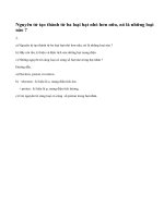 Bài 2 - Trang 15 - SGK Hóa Học 8