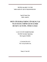 phân tích hoạt động tín dụng tại ngân hàng chính sách xã hội huyện cái nước, tỉnh cà mau