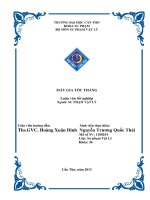 luận văn tốt nghiệp : máy gia tốc thẳng