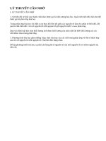 Lý thuyết bài luyện tập 3