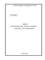 Đề án tổ chức khai thác và thu mua chế biến tiêu thụ cá ngừ theo chuỗi