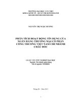 phân tích hoạt động tín dụng của ngân hàng thương mại cổ phần công thương việt nam chi nhánh châu đốc