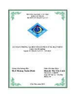 an toàn phóng xạ đối với lõ phản ứng hạt nhân