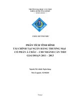 phân tích tình hình tài chính tại ngân hàng thương mại cổ phần á châu – chi nhánh cần thơ giai đoạn 2011 – 2013