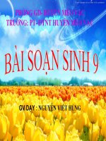 Bài giảng sinh học lớp 9 thực hành quan sát hình thái nhiễm sắt thể t (6) 