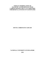 Surface modification of magnetic nanoparticles with carboxymethyl beta cyclodextrin for removal of dyes in wastewater 