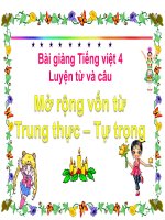 Bài giảng tiếng việt 4 tuần 5 bài luyện từ và câu   mở rộng vốn từ trung thực   tự trọng 