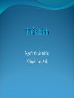 Sinh 11 hệ thần kinh và tập tính động vật 