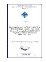 khảo sát sự sinh trưởng và đặc tính hình thái thực vật của cam sành (citrus nobilis var. typica hassk.) không hột được phát hiện ở đồng bằng sông cửu long