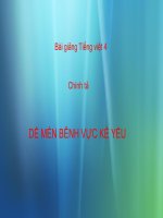 Bài giảng tiếng việt 4 tuần 1 bài chính tả nghe   viết dế mèn bênh vực kẻ yếu, phân biệt LN, AN,ANG 