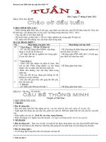 BỘ GIÁO án lớp 3 cả năm (2012 2013)