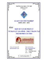 một số vấn đề pháp lý về bạo lực gia đình – thực trạng tại thành phố cần thơ