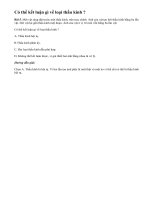 Bài 5 trang 189 sgk vật lý 11