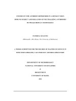 Studies on the antibody repertoire in a dengue virus immune subject and isolation of neutralizing antibodies by phage display technology 