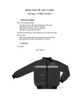 HÌNH VẼ MÔ TẢ MẪU