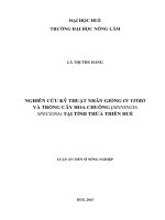 Nghiên cứu kỹ thuật nhân giống in vitro cây hoa chuông (sinningia speciosa) tại tỉnh thừa thiên huế (TT)
