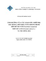 ảnh hưởng của các loại gốc ghép họ bầu bí dưa đến khả năng kháng bệnh héo rũ do nấm fusarium oxysporum trên dưa leo (cucumis sativus l.) vụ thu đông 2012
