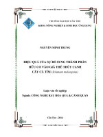 hiệu quả của sự bổ sung thành phần hữu cơ vào giá thể thủy canh cây cà tím (solanum melongena)