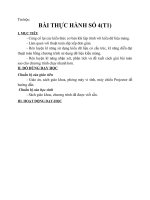 Tin học bài THỰC HÀNH số 4 