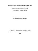 Optimization of photobioreactor for astaxanthin production in chlorella zofingiensis 
