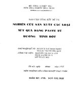 Báo cáo tổng kết đề tà  nghiên cứu sản xuất các loại mứt quả dạng paste từ đường tinh bột