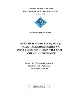 Phân tích rủi ro tín dụng tại ngân hàng nông nghiệp và phát triển nông thôn việt nam – chi nhánh ninh kiều