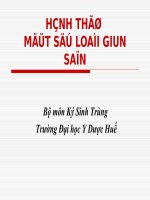 Bài Giảng Giun Sán  Ký Sinh Trùng