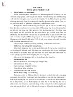 Hoàn thiện chính sách marketing mix tại công ty TNHH phát triển thương mại và dịch vụ văn long 