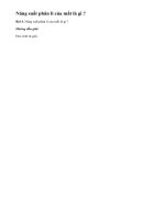 Bài 4 trang 203 sgk vật lý 11