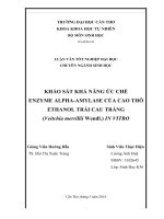 khảo sát khả năng ức chế enzyme alpha amylase của cao thô ethanol trái cau trắng (veitchia merrillii wendl ) in vitro