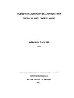 STUDIES ON DIABETIC PERIPHERAL NEUROPATHY IN THE DB DB, TYPE 2 DIABETES MOUSE 