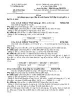 Download đề và đáp án thi học sinh giỏi môn tin học lớp 11 2008 2009 tỉnh quảng bình (khối không chuyên) 