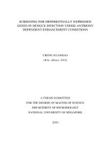 SCREENING FOR DIFFERENTIALLY EXPRESSED GENES IN DENGUE INFECTION UNDER ANTIBODY DEPENDENT ENHANCEMENT CONDITIONS 