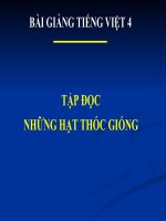 Bài giảng tiếng việt 4 tuần 5 bài tập đọc   những hạt thóc giống 