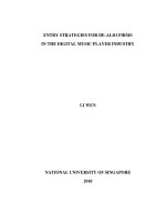 Entry strategies for de alio firms in the digital music player industry 