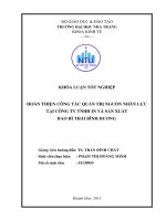 Hoàn thiện công tác quản trị nguồn nhân lực tại công ty TNHH in và sản xuất bao bì thái bình dương