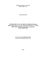 ảnh hưởng của các dòng vi khuẩn bacillus (b41  b67) lên các yếu tố môi trường và tôm thẻ chân trắng (litopenaues vannamei) nuôi trong bể
