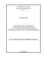 Phát triển cho vay tiêu dùng tại ngân hàng thương mại cổ phần công thương việt nam  chi nhánh hải phòng  luận văn ths