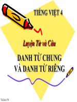 Bài giảng tiếng việt 4 tuần 6 bài luyện từ và câu   danh từ chung và danh từ riêng 