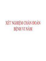 Xét Nghiệm Chuẩn Đoán Bệnh Vi Nấm