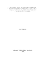 Multimodal tumor imaging by iron oxides and quantum dots formulated in poly (lactic acid) d alpha tocopheryl polyethylene glycol 1000 succinate nanoparticles 