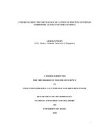 Understanding the mechanism of action of protein synthesis inhibitors against mycobacterium 