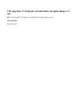 Bài 3 trang 216 sgk vật lý 11