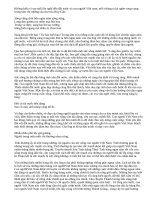 Nghị Luận Sức sống mãnh liệt của con người Việt Nam qua văn học