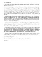 Em suy nghĩ gì về cái đẹp trong cuộc sống qua cách tìm thấy vẻ đẹp quê hương của nhân vật Nhĩ trong "Bến quê"