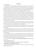 Nghiên cứu bài toán điện môi trong điện trường