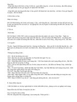 Ôn tập : Tác gia N A Q