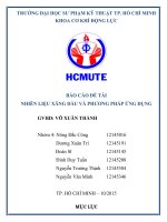 Báo cáo đề tài nhiên liệu xăng dầu và phương pháp ứng dụng